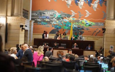 CONGRESISTAS DEL PACTO HISTÓRICO CONFÍAN EN QUE REFORMA A LA SALUD PASARÁ.