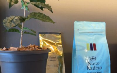 ESTE VIERNES 4 DE JULIO ARRANCA MZL CAFÉ FEST.