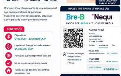 ALERTA: NO CAIGA EN LA ESTAFA DE LAS RECOMPRAS SHEIN, AMAZON O TEMU.
