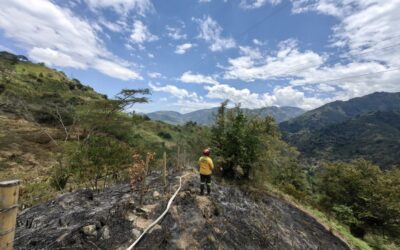 CERCA DE 2 MIL HÉCTAREAS AFECTADAS EN CALDAS POR INCENDIOS FORESTALES.