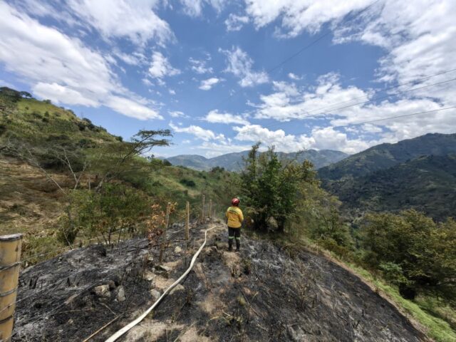 CERCA DE 2 MIL HÉCTAREAS AFECTADAS EN CALDAS POR INCENDIOS FORESTALES.